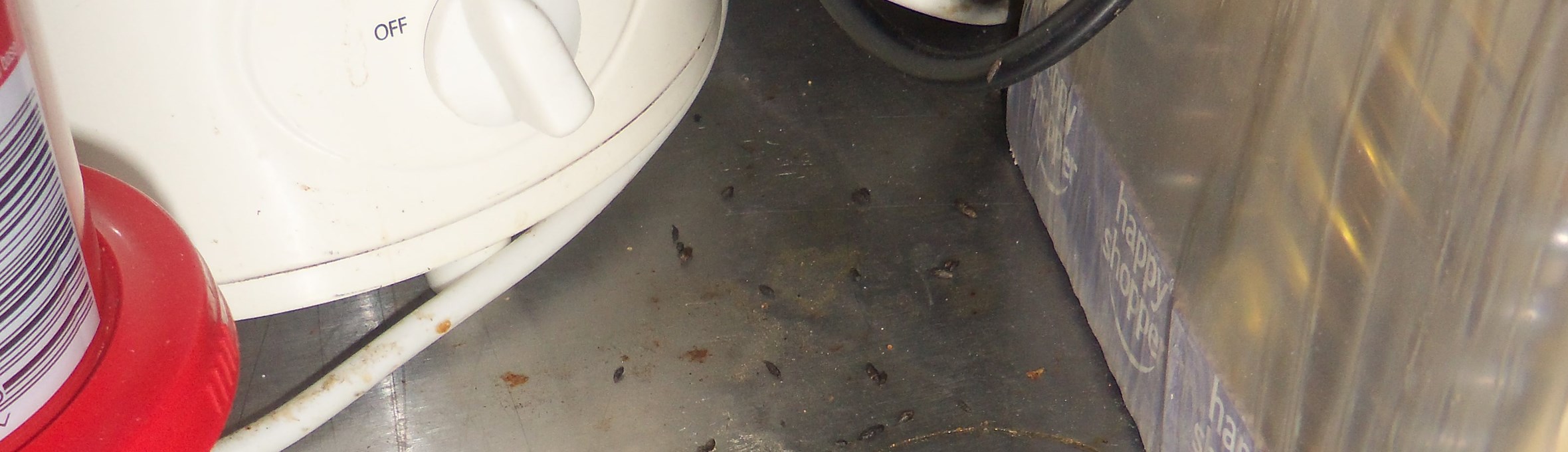 mouse droppings on the counter next to gravy and a kettle 