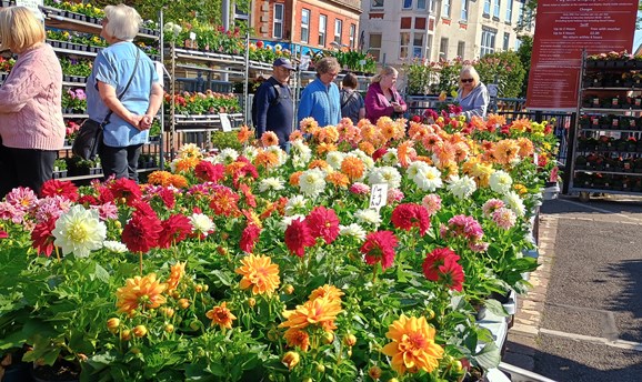 Ashfield Plant and Garden Fair