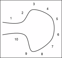 Diagram - small Cul-de-Sac, use consecutive numbering, number one given first house on the left