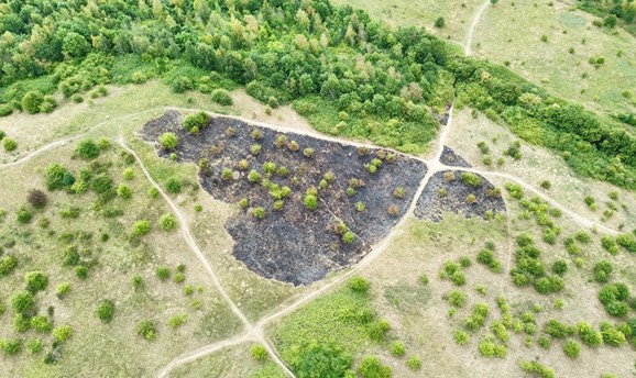 Brierley Forest Park fire damage from the air