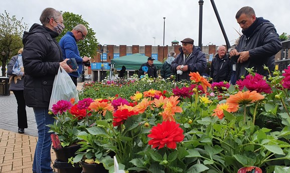 people look at a colourful display of dahlias on Portland Square in Sutton 