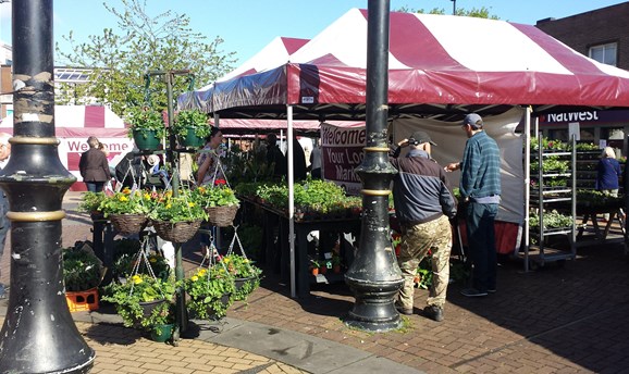 A stall at a previous plant fair